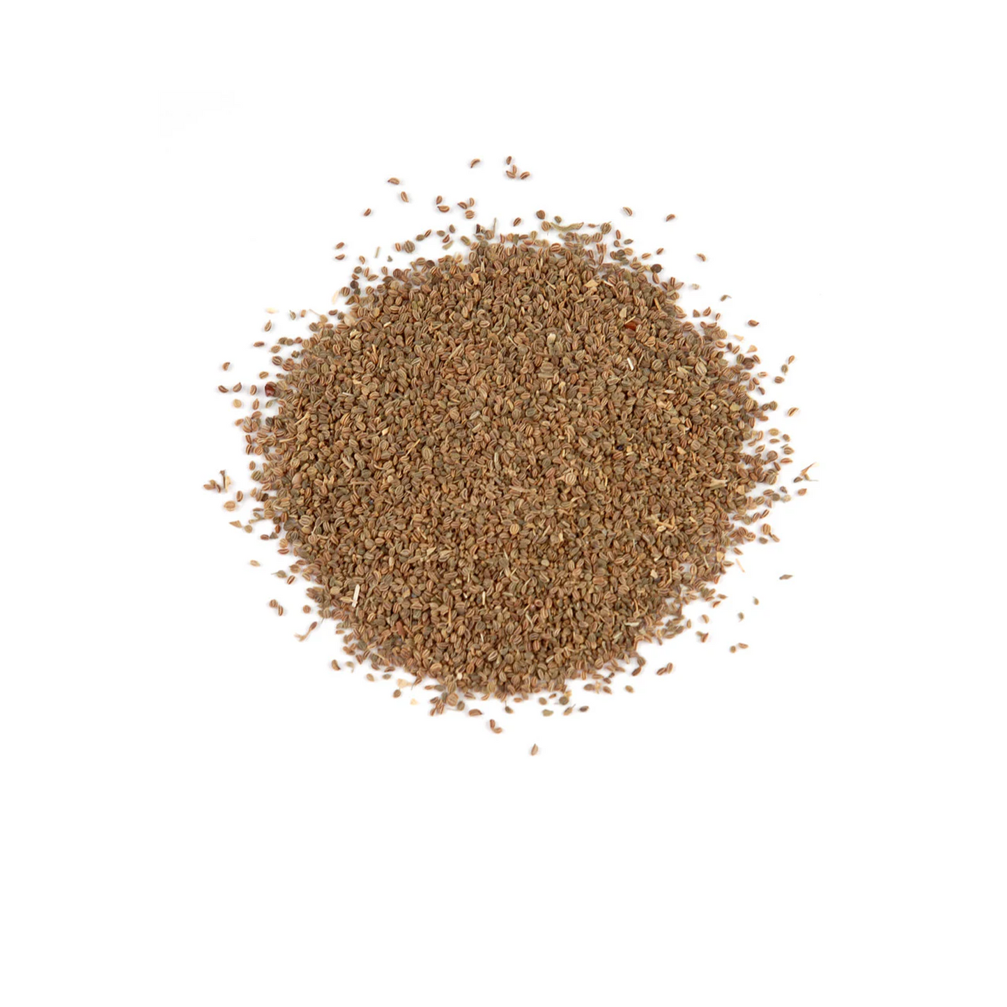 Organic Celery Seed