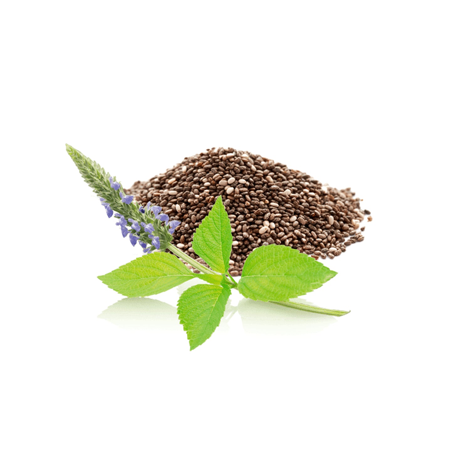 Organic Chia Seeds