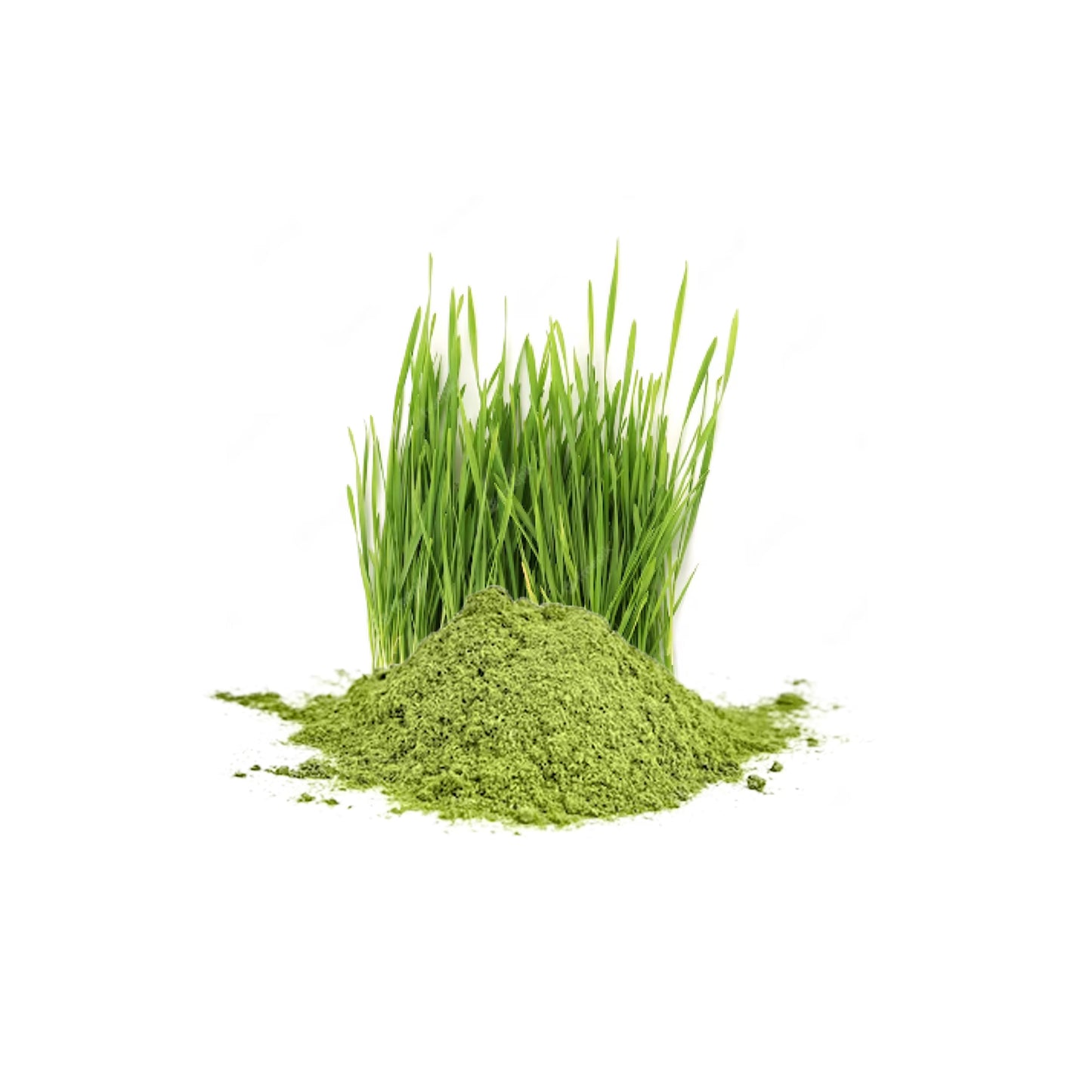 Organic wheatgrass powder