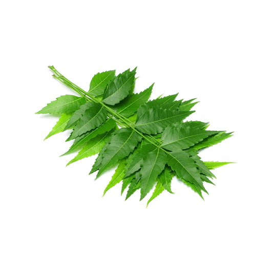 Organic Neem leaves