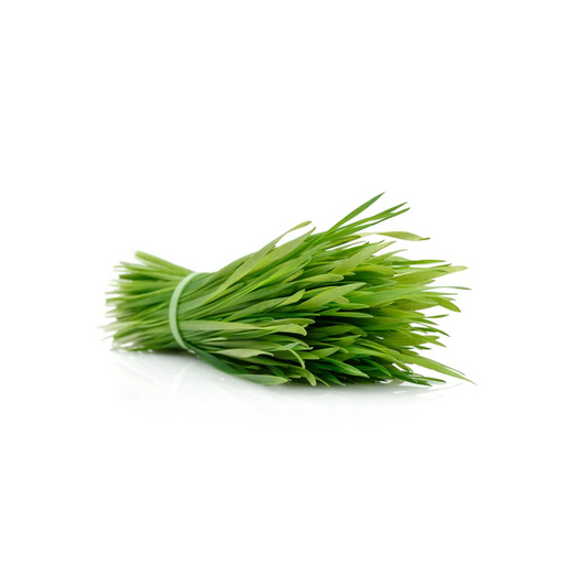 Organic Wheatgrass