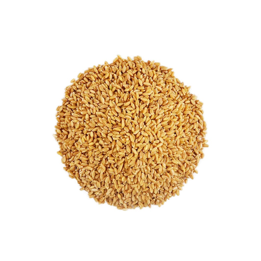 Organic Wheat (Lokwan)