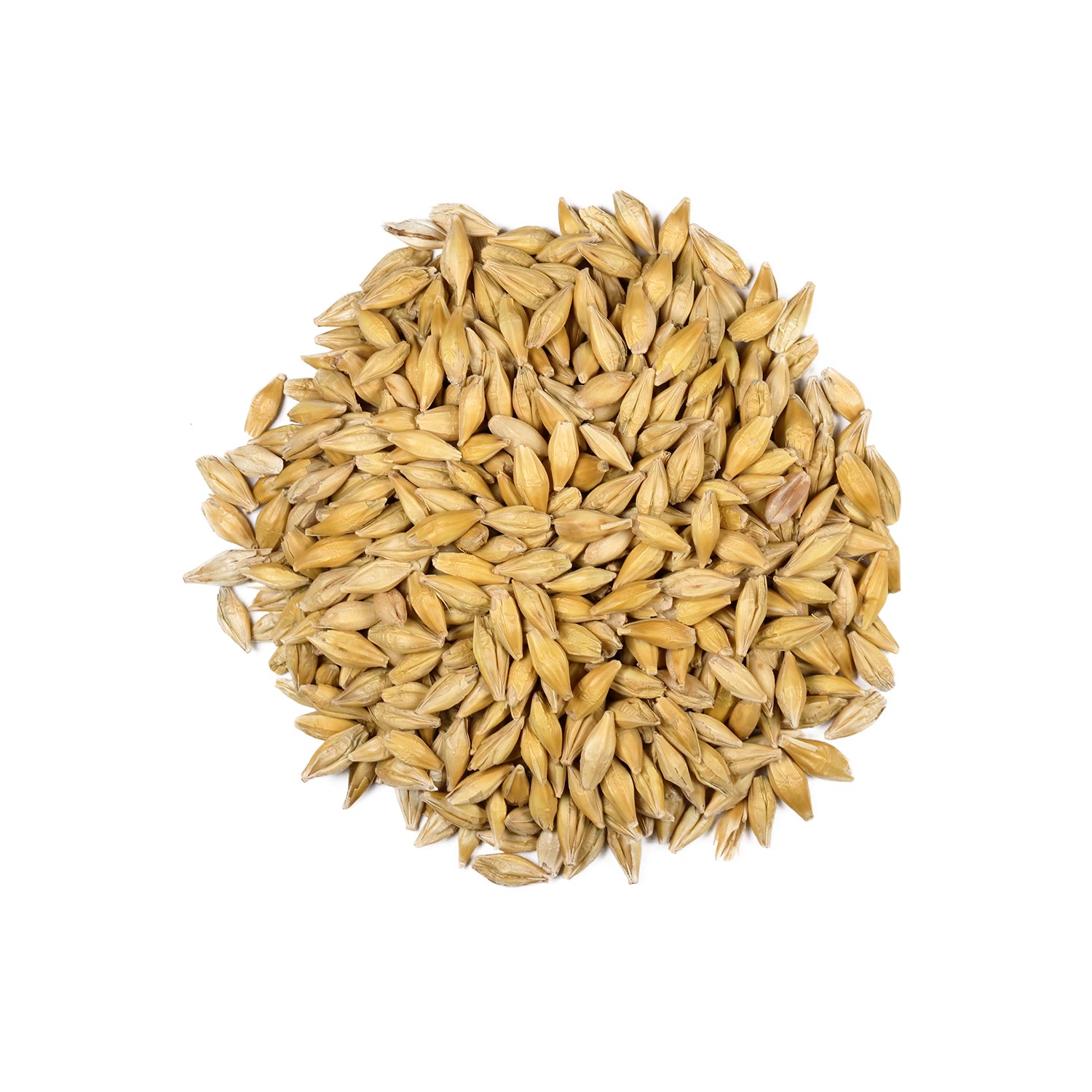 Organic Barley Grain / Jau / Barley With Husk - Rattan Organic Foods ...