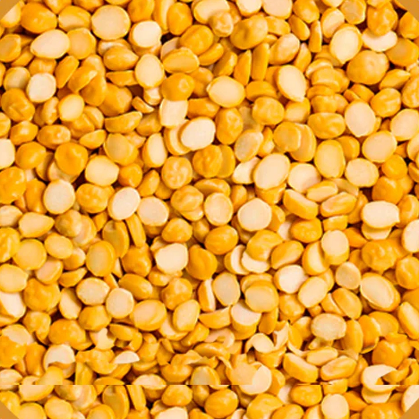 Organic Chana Dal / Bengal Gram Split